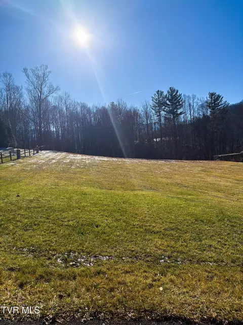 114 Buckner Drive Roan Mountain Tn 37687, Roan Mountain, TN 37687