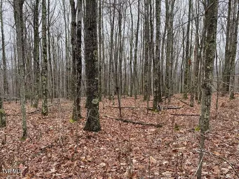 tbd Pine Camp Road Coeburn Va 24230, Coeburn, VA 24230