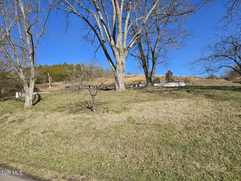 920 Roaring Fork Road Greeneville Tn 37745, Greeneville, TN 37745 photo 3
