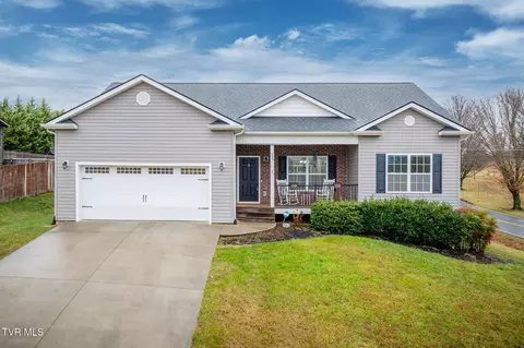 114 Walkers Bend Road Gray Tn 37615, Gray, TN 37615