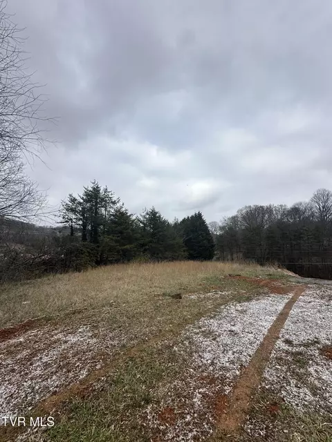 715 Hammond Avenue Mount Carmel Tn 37645, Mount Carmel, TN 37645