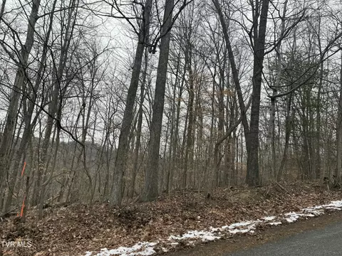 tbd Lot 4 Skyline Drive Bristol Tn 37620, Bristol, TN 37620