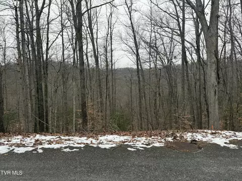 tbd Lot 5 Skyline Drive Bristol Tn 37620, Bristol, TN 37620