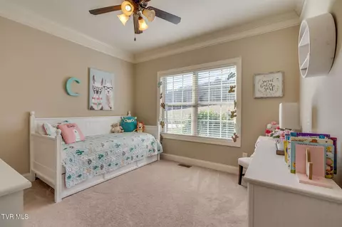 Bedroom - 463 Free Hill Road Gray Tn 37615, Gray, TN 37615 photo 4 of 9