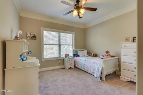 Bedroom - 463 Free Hill Road Gray Tn 37615, Gray, TN 37615 photo 6 of 9