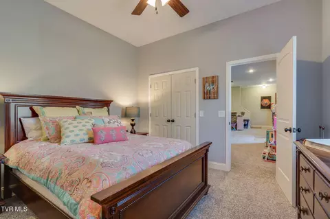 Bedroom - 463 Free Hill Road Gray Tn 37615, Gray, TN 37615 photo 9 of 9