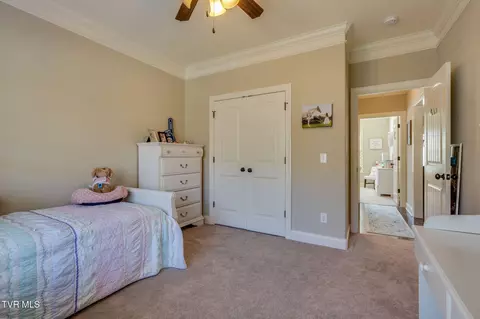 Bedroom - 463 Free Hill Road Gray Tn 37615, Gray, TN 37615 photo 7 of 9