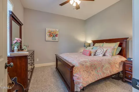 Bedroom - 463 Free Hill Road Gray Tn 37615, Gray, TN 37615 photo 8 of 9