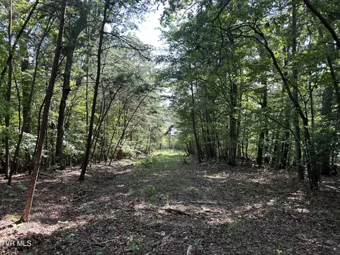 lot1239 Rustic Drive Baneberry Tn 37890, Baneberry, TN 37890