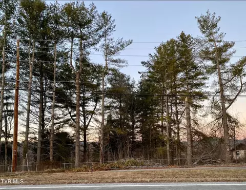 tbd Carters Valley Road Lot 4 Church Hill Tn 37642, Church Hill, TN 37642