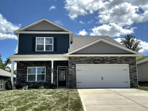 202 Golden Rod Drive Bluff City Tn 37618, Bluff City, TN 37618