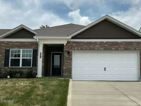 148 Golden Rod Drive Bluff City Tn 37618, Bluff City, TN 37618
