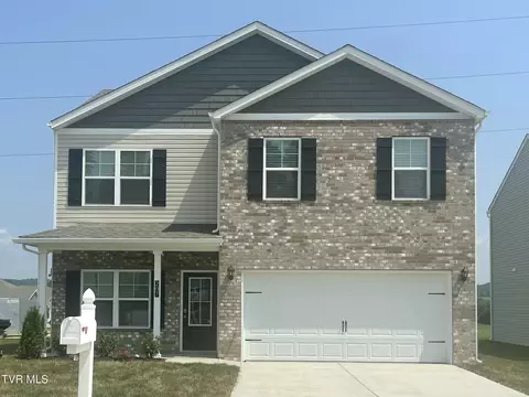 207 Golden Rod Drive Bluff City Tn 37618, Bluff City, TN 37618