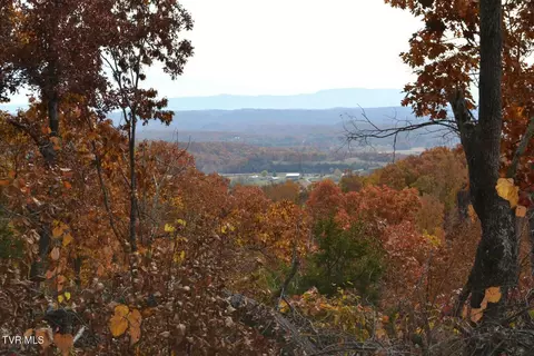 950 Caney Creek Lane Greeneville Tn 37745, Greeneville, TN 37745