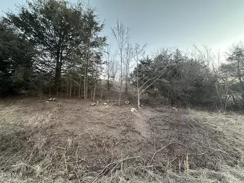 00 Vick Drive Parrottsville Tn 37843, Parrottsville, TN 37843