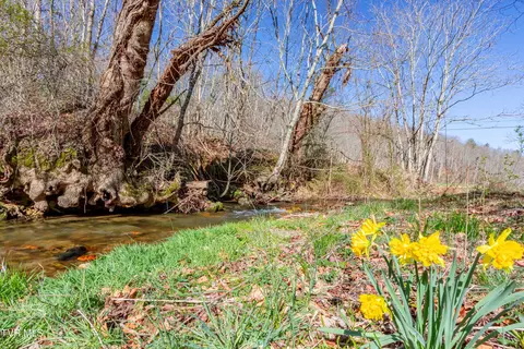 709 Beans Creek Road Bakersville Nc 28705, Bakersville, NC 28705