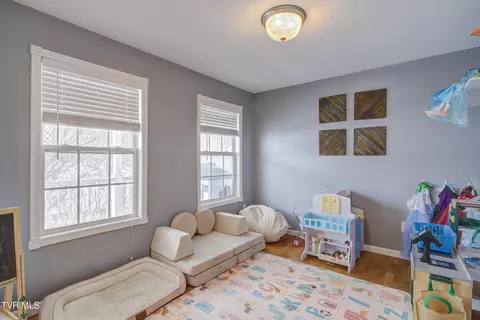 288 Sam Jenkins Road Gray Tn 37615, Gray, TN 37615 photo 11