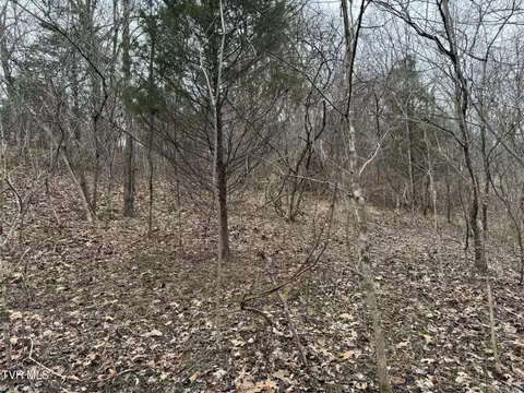 545 E Stagecoach Road Greeneville Tn 37743, Greeneville, TN 37743 photo 30