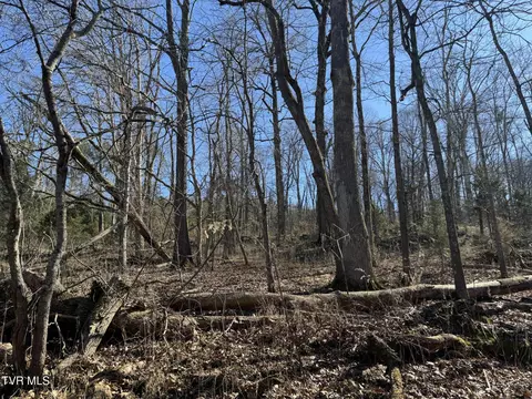 545 E Stagecoach Road Greeneville Tn 37743, Greeneville, TN 37743 photo 35