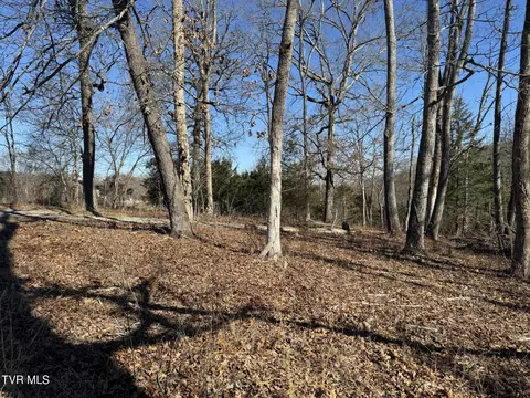 545 E Stagecoach Road Greeneville Tn 37743, Greeneville, TN 37743 photo 10