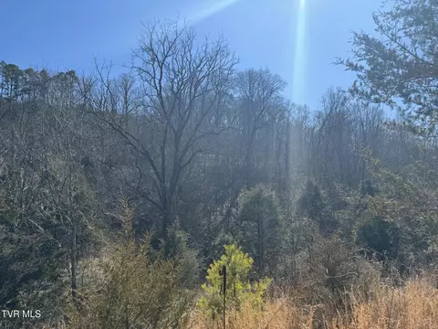 545 E Stagecoach Road Greeneville Tn 37743, Greeneville, TN 37743 photo 4