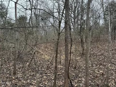 545 E Stagecoach Road Greeneville Tn 37743, Greeneville, TN 37743 photo 29