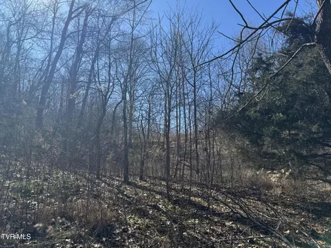 545 E Stagecoach Road Greeneville Tn 37743, Greeneville, TN 37743 photo 34