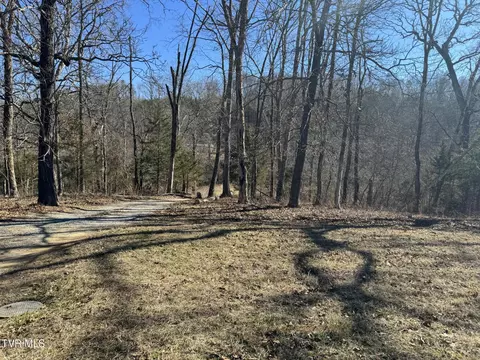 545 E Stagecoach Road Greeneville Tn 37743, Greeneville, TN 37743 photo 6