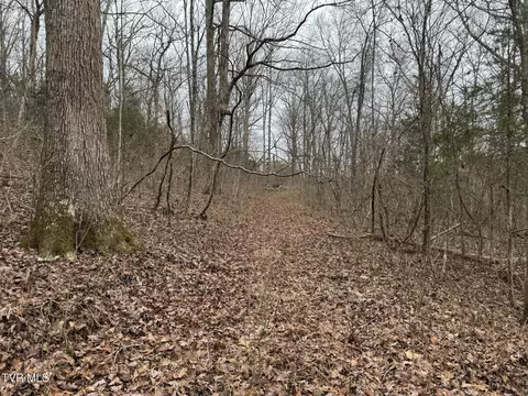 545 E Stagecoach Road Greeneville Tn 37743, Greeneville, TN 37743 photo 26