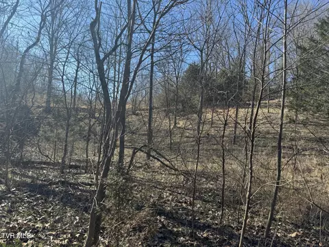 545 E Stagecoach Road Greeneville Tn 37743, Greeneville, TN 37743 photo 17