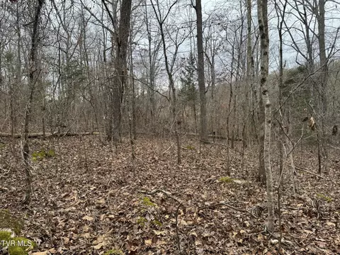 545 E Stagecoach Road Greeneville Tn 37743, Greeneville, TN 37743 photo 27