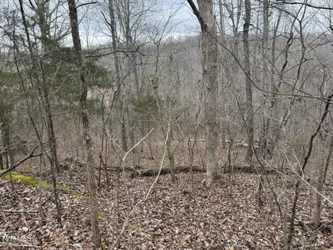 545 E Stagecoach Road Greeneville Tn 37743, Greeneville, TN 37743 photo 22