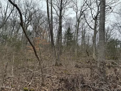 545 E Stagecoach Road Greeneville Tn 37743, Greeneville, TN 37743 photo 25