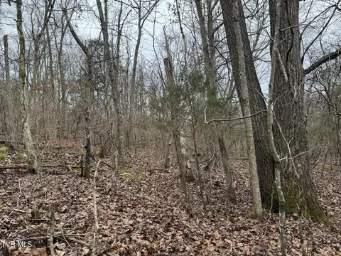 545 E Stagecoach Road Greeneville Tn 37743, Greeneville, TN 37743 photo 31