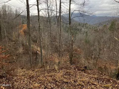 613 Simerly Creek Road Road Hampton Tn 37658, Hampton, TN 37658 photo 24