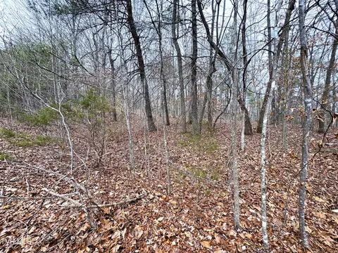 lot45 Zuni Way Del Rio Tn 37727, Del Rio, TN 37727