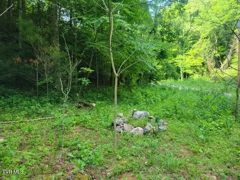 985 Copperhead Hollow Road Mountain City Tn 37683, Mountain City, TN 37683