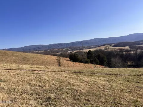 tbd John Matthews Rd Limestone Tn 37681, Limestone, TN 37681