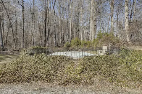 257 Logan Chapel Road Fall Branch Tn 37656, Fall Branch, TN 37656 photo 11