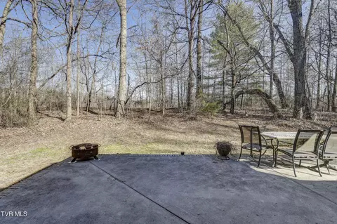 257 Logan Chapel Road Fall Branch Tn 37656, Fall Branch, TN 37656 photo 15
