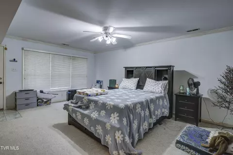 257 Logan Chapel Road Fall Branch Tn 37656, Fall Branch, TN 37656 photo 62