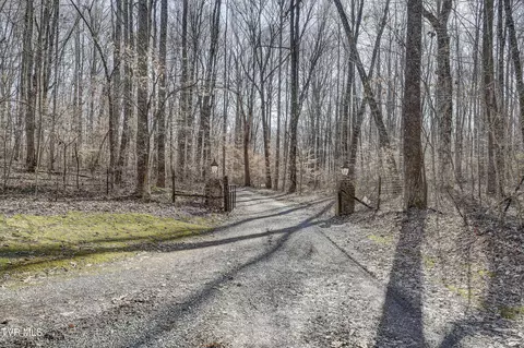 257 Logan Chapel Road Fall Branch Tn 37656, Fall Branch, TN 37656 photo 5