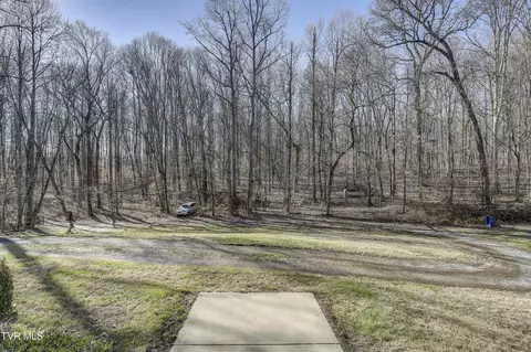 257 Logan Chapel Road Fall Branch Tn 37656, Fall Branch, TN 37656 photo 6