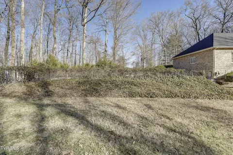 257 Logan Chapel Road Fall Branch Tn 37656, Fall Branch, TN 37656 photo 18