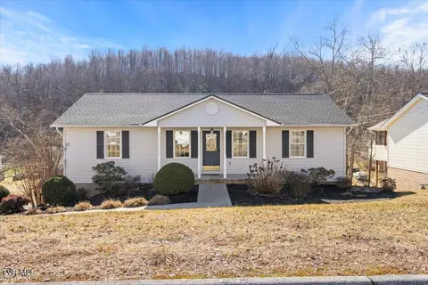 231 Mountain View Drive Mount Carmel Tn 37645, Mount Carmel, TN 37645