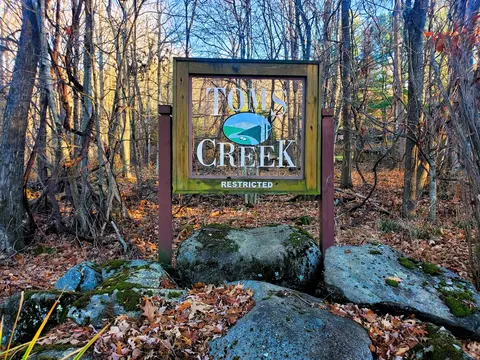 000 Toms Creek Drive Roan Mountain Tn 37687, Roan Mountain, TN 37687