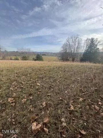 1003 Borowood Court Jonesborough Tn 37659, Jonesborough, TN 37659