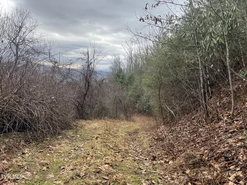 tbd H Proffitt Lane Butler Tn 37640, Butler, TN 37640