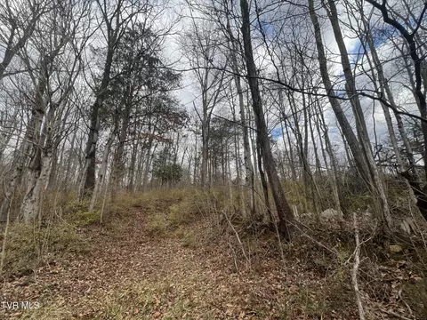 tbd Renee Drive Johnson City Tn 37601, Johnson City, TN 37601