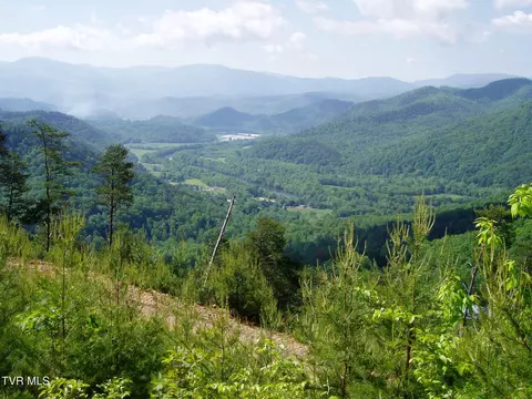 6 88 Acres Hopi Trail Del Rio Tn 37727, Del Rio, TN 37727
